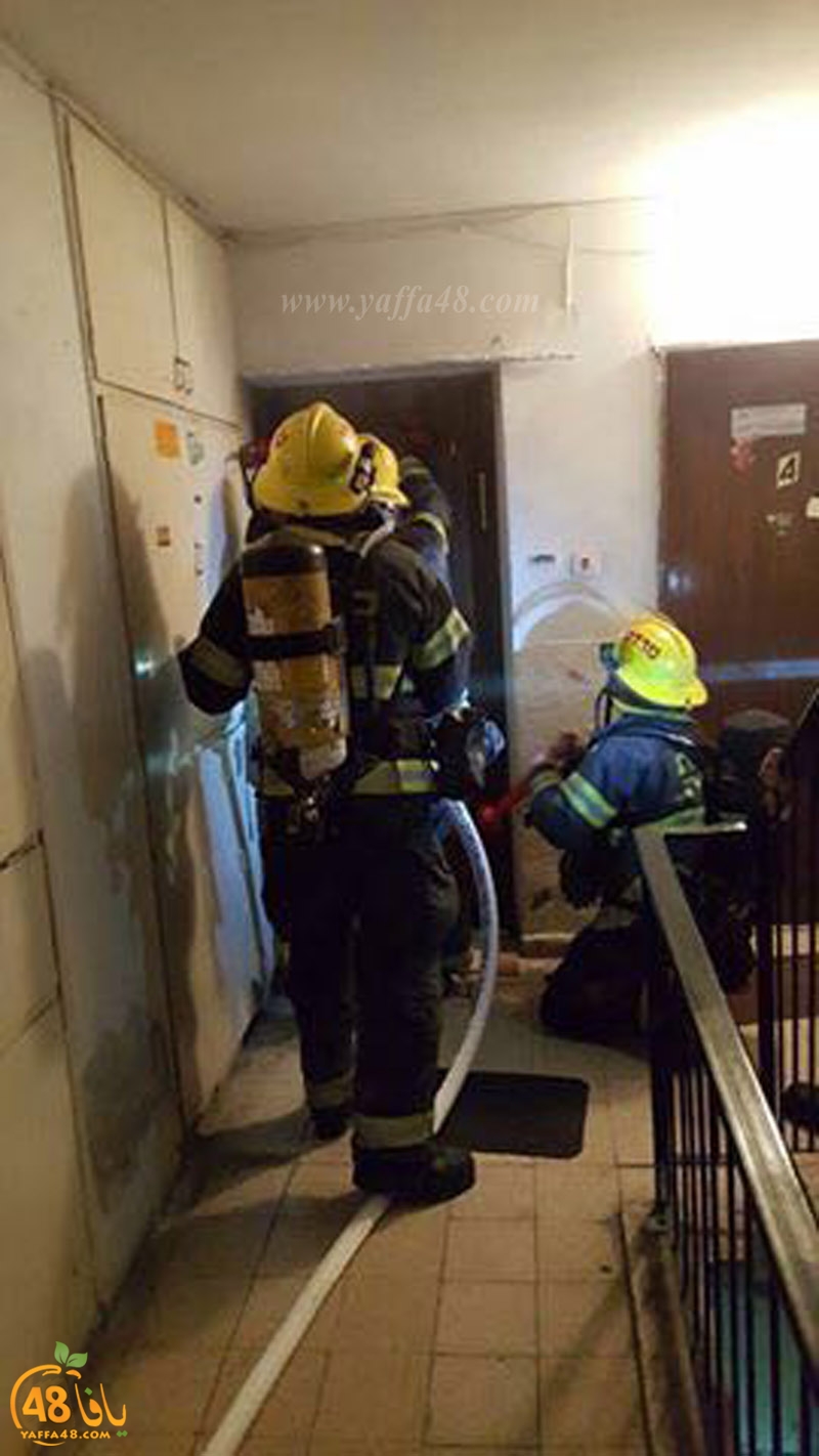 firei in lud aj (3).jpg